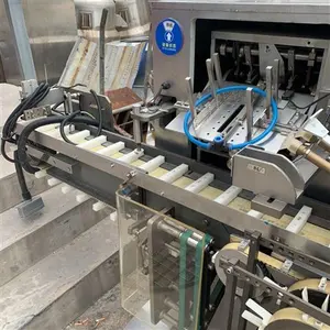 Machine à emballer automatique pour biscuits, 10 pièces, pour les collations, les bonbons et le chocolat