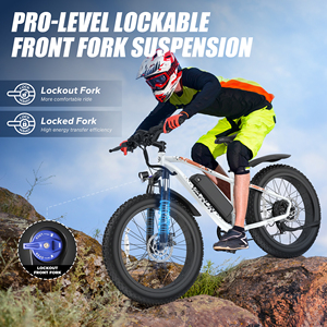 Bicicleta Eléctrica de Montaña VARUN, Stock en la UE, Libre de Impuestos, 26'', Motor de 250W, Cuadro de Acero al Carbono, Batería de Litio de Largo Alcance (70 km), Envío Rápido - Product Image 5