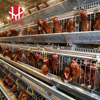 Cage à poulets automatique de type A à 3 niveaux avec alimentation, abreuvement, collecte des œufs, courroie à fumier, abreuvoir à tétine, galvanisée à chaud