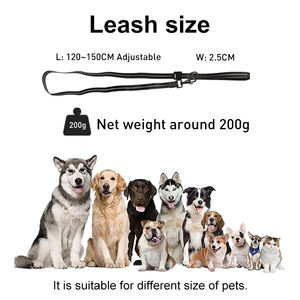 Laisse pour chien lumineuse RVB personnalisée en gros par UMIONE, avec rubans, en PVC rechargeable et écologique - Product Image 3