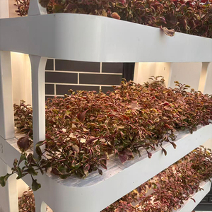 Jardin vertical hydroponique intelligent à 5 étages pour la maison avec LED et pompe à eau - Nouveau système intelligent de culture de fruits et légumes - Product Image 5