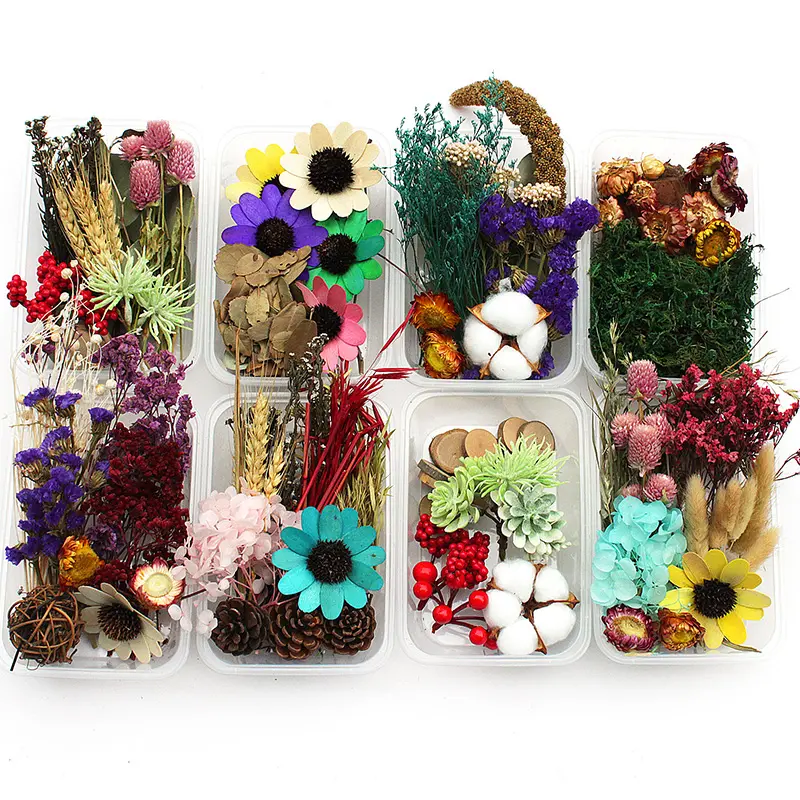 Dry Pressed Nail Flower Mixed Pack Pressed Natural Dried Flowers Dried Flower For Resin Art