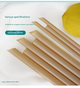 Eco Friendly <b>Biodegradable</b> Compostable Sugarcane Straws 6mm 12mm 200mm 230mm Bagasse Disposable Drinking Straw - Product Image 3
