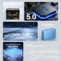 Batterie rechargeable LiFePo4 Lithium-Ion 12,8V 100Ah 150Ah 200Ah 300Ah avec BMS intégré pour maison/voiture/camping-car/VR - Offre Spéciale