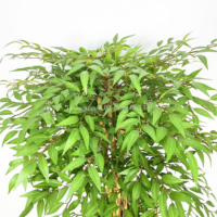 153/190cm arbre de Ficus artificiel Faux plastique feuille verte plante en pot arbres artificiels pour la décoration intérieure