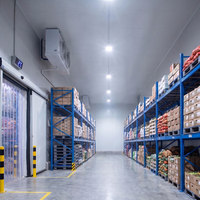 Sistema de Refrigeración y Almacenamiento de Alta Calidad, Cámaras Frigoríficas, Congelador Vertical de Gran Capacidad para Mariscos