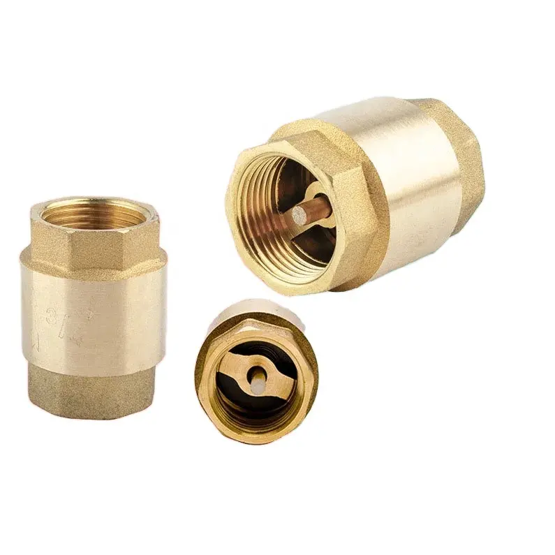 LIRLEE Manufacture Wholesale 1Inch Brass Spring Check Valve With Plastic Core Brass Spring Vertical Check Valve