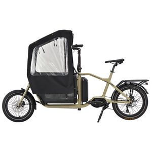 Vélo cargo électrique pour enfant de 20 pouces avec longue queue, vélo familial électrique, <span class=keywords><strong>housse</strong></span> de pluie, entrepôt France - Product Image 6