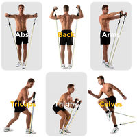 ZJFIT Personnalisation Vente Chaude Fitness Exercices 11pcs Tpe Latex Résistance Bande et Tube Ensemble