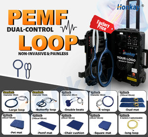 Machine de physiothérapie PEMF à <span class=keywords><strong>prix</strong></span> d'usine pour chevaux, boucle PEMF pour soulager la douleur et prévenir les blessures chez les équidés - Product Image 5