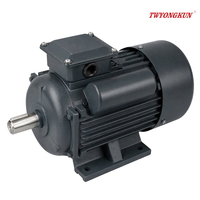 Moteur à induction monophasé Ariely Electric 1HP 2HP 3HP 220V-230V, efficacité IE3, protection IP44/IP54, certifié CCC/CE, YL YC