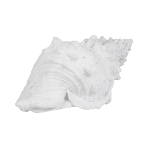Scultura in resina a forma di conchiglia, decorazione costiera per casa, ufficio, bagno, tavolino da caffè, stile nautico - Product Image 2