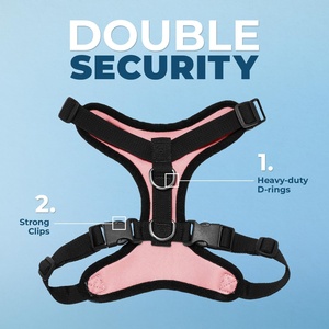 Factory Price Custom Logo No Pull No Choke Adjustable Breathable Air Mesh Dog <b>Pet</b> Vest <b>Harness</b> with Leash - Product Image 2