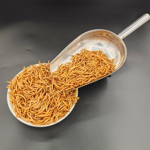 מזון זוחלים וציפורים ממותג פרטי (OEM) עשיר בחלבון, חטיפים טבעיים ובריאים, תולעי קמח מיובשות - Product Image 3