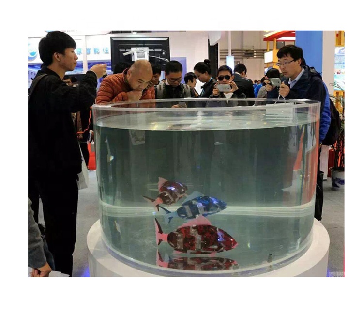 Cari Terbaik Jual Aquarium Bulat Produsen Dan Jual Aquarium Bulat Untuk Indonesian Market Di Alibaba Com