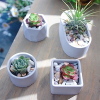 Moules à pots de fleurs ovales en silicone, moules à vases, moules à plateaux à bijoux en ciment, moules à bases de pots de plantes, moules à plantes succulentes, moules à pots de fleurs en plâtre réutilisables