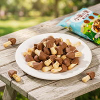 Biscuits au chocolat en forme de champignon personnalisés en gros, biscuits croustillants, snacks, biscuits enrobés en forme de champignon mignons