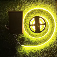 Shingel extérieur étanche IP67 Patio décoration petit panneau alimenté coloré longue bande solaire LED lumières pour jardin voie