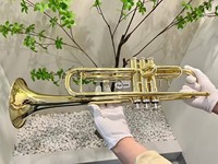 LTR-508L Wind Musical Instruments Bb Key Bullfighter Standard Surface Gold Lacquer Head Bakelite Brass Trumpet