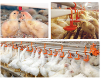 Nouvel équipement de contrôle climatique automatique Temptron 610 616 607-A pour poulailler, système d'alimentation pour élevage de poulets, 6 mois