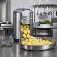 Automatische wortelschiller voor pastinak, taro, yam en radijs.