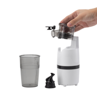 Hot Selling Goedkope Custom Machine Elektrische Mini Fruit Slow Juicer Prijs