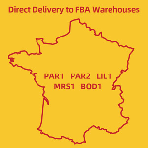 Agente de Envío de China, Transitario, Envío a Francia por Expreso, FBA DDP, Servicio Logístico Internacional - Product Image 4
