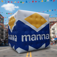 Ballon cube gonflable à l'hélium de haute qualité pour l'extérieur, assurance qualité pour les ballons publicitaires gonflables carrés