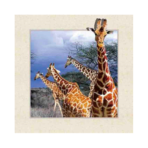 โปสเตอร์ภาพสัตว์แอฟริกาพิมพ์ลายเลนส์ 3 มิติ คุณภาพสูง ผลิตจากพลาสติก <span class=keywords><strong>PET</strong></span> สำหรับตกแต่งบ้าน - Product Image 2