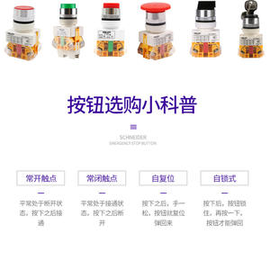 Delixi LAY7-11M Self-Reset Push <b>Button</b> Switch 22mm Mushroom Head Red Green LED IP65 Level Custom Length <b>Metal</b> Plastic 10A - Product Image 2