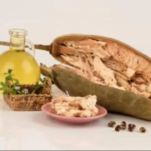 Semillas de Baobab Naturales de Zambia, Crudas, Orgánicas, Grado Agrícola para Siembra, Venta al por Mayor a Granel y Procesamiento de Extracción de Aceite - Product Image 1