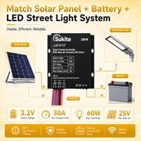 Contrôleur solaire MPPT 3260 3.2V 60W 30A ultra-efficace Sukite, automatique, du crépuscule à l'aube, pour projet d'éclairage routier en milieu rural