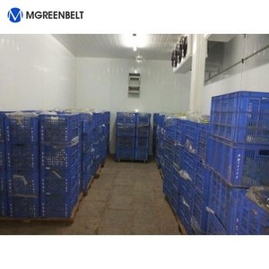 <span class=keywords><strong>Chambre</strong></span> de réfrigération industrielle de plain-pied/<span class=keywords><strong>chambre</strong></span> de congélateur/<span class=keywords><strong>chambre</strong></span> froide - Product Image 5