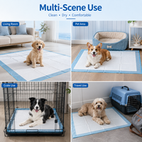 OEM Vente en gros de tapis d'apprentissage jetables écologiques ultra absorbants et anti-fuites pour chiens et chats
