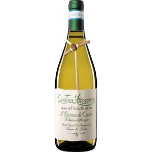 ไวน์ขาวอิตาเลียน Zaccagnini Trebbiano Dabruzzo Doc 750 มล. แอลกอฮอล์ 12% อุณหภูมิ 8-10 องศาเซลเซียส เหมาะสำหรับอาหารทะเลและพาสต้าแบบเบาๆ 6 ขวด/กล่อง - Product Image 1