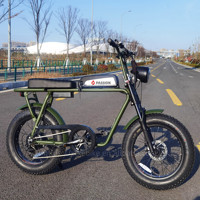Vélo Électrique Tout-Terrain Cargo Vintage 2026 Nouveau Design 20 Pouces 250W avec Selle Longue pour Homme