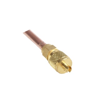 Soupape d'accès de <span class=keywords><strong>charge</strong></span> de réfrigérant de haute qualité pour équipement de réfrigération - Product Image 1