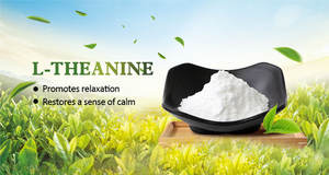 2025 высококачественный 100% экстракт Чистого Зеленого Чая L-теанина 99% порошок растительный экстракт с CAS 3081-61-6 - Product Image 4