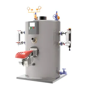 lpg water gas diesel boilers 300 kw