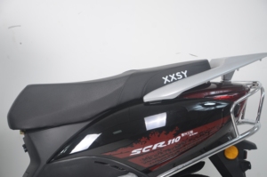 Moto 800W/1000W pour passager, produit haut de gamme, vente en gros directe usine OEM - Product Image 3