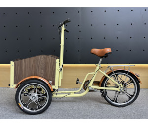 Vente en gros de <span class=keywords><strong>remorque</strong></span> pour vélo cargo personnalisé tricycle adulte tricycle tricycle à trois roues - Product Image 1