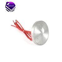 Plaque chauffante électrique en aluminium moulé sous pression de forme ronde personnalisée BRIGHT 220V 450W