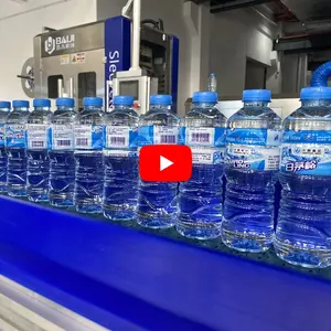 China Hot Sale 500ml Automatic PET Bottle Spring Mineral Water Filling Capping Machine