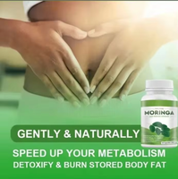 Capsules de poudre de feuilles de Moringa Solilan OEM, meilleur prix, marque privée, complément énergétique et immunitaire, capsules de Moringa