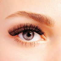 Ekstensi Bulu Mata Volume Buatan Tangan Matte Black Volume Lash Fans C C D DD Curl Lashes untuk Penggunaan Salon Bulu Mata Profesional