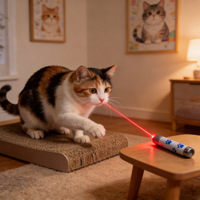 Pointeur laser pour chat, jouet interactif à lumière rouge pour chats et chiens, jouet portable pour l'exercice des chatons et des chiots, jouet d'intérieur
