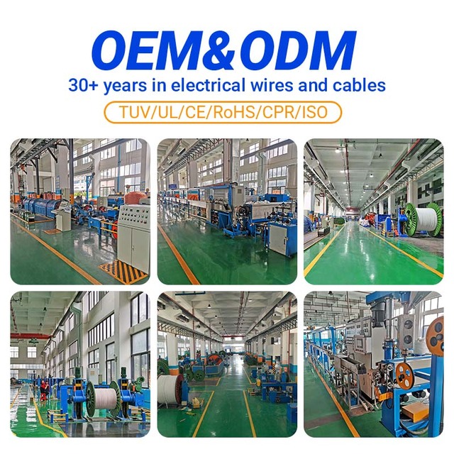 Copper Conductor Flexible Cable RVV Two Cores Three Cores 0.75 1 1.5 2.5 4 6mm Electrical Cable Wire H05VV-F Power Cable
