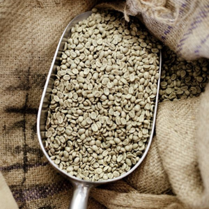 Café du Vietnam Meilleures ventes Grains de café vert Arabica Robusta Grains de café non cassés Fabriqué au Vietnam Fabricant Échantillon gratuit - Product Image 5