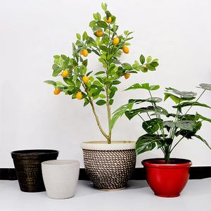 8 Styles Produits En Gros Maceta Tendance Grand Jardin Rond Extérieur Intérieur Maison Jardin Décor Ornement Fleur Bonsaï Plante Pot - Product Image 1