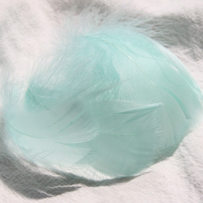 colorful Tiffany Blue